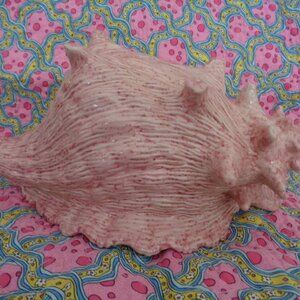 Pottery conch